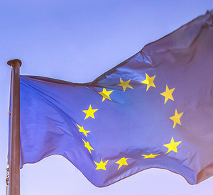 ©Tobias Arhelger-stock.sadobe.com