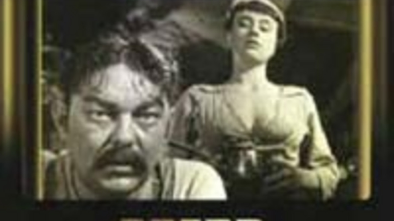 Cover / Filmplakat "Abend der Gaukler"