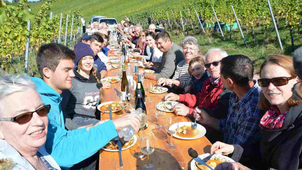 Weinlese: Das Vesper für die Lesehelferinnen und Lesehelfer bei der Weinlese ist gemeinschafts- und identitätsstiftend, Foto:© Weingut Schnaitmann