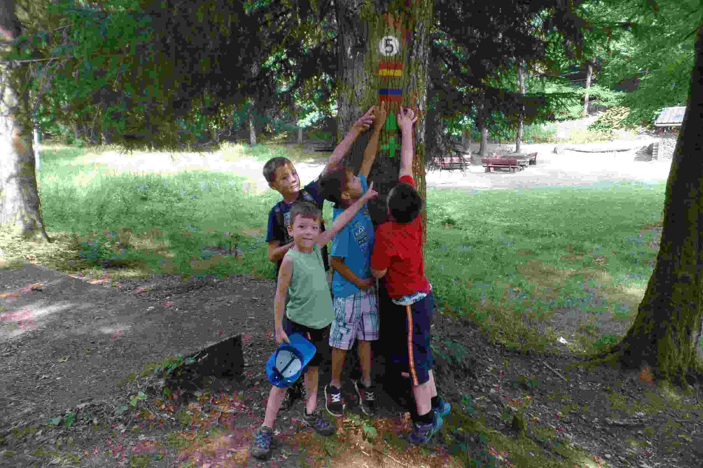 Kinder an einem Baum