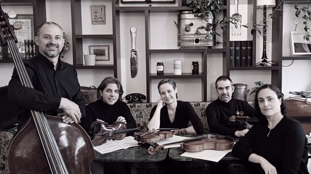 Wiener Kammersymphonie