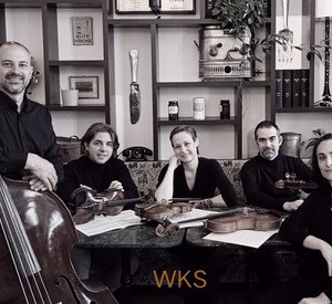 Wiener Kammersymphonie