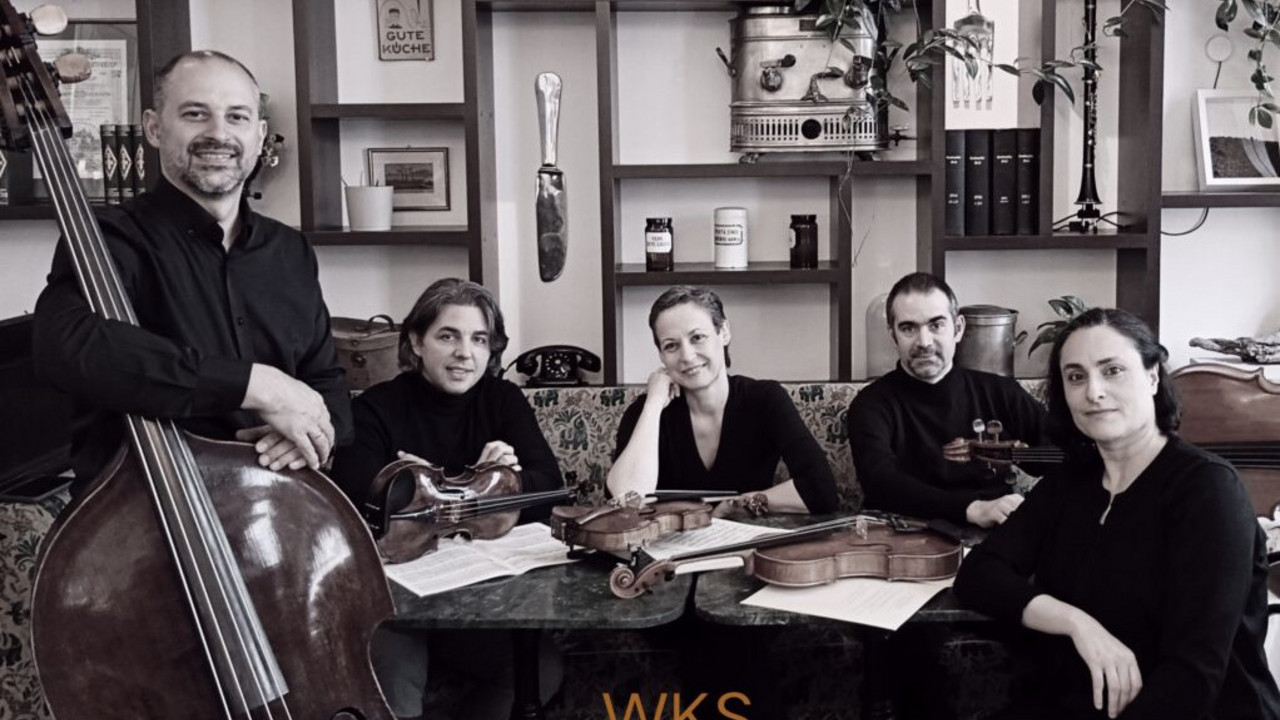 Wiener Kammersymphonie