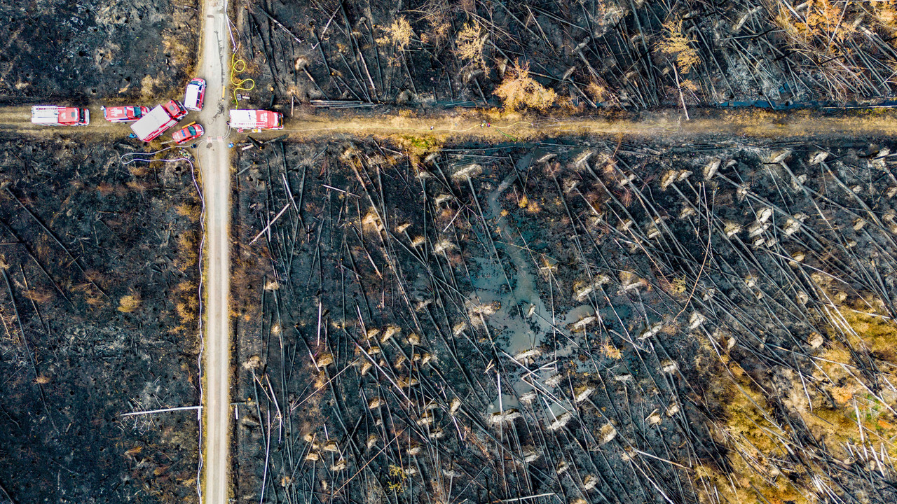 Waldbrand bei Münster weitgehend gelöscht