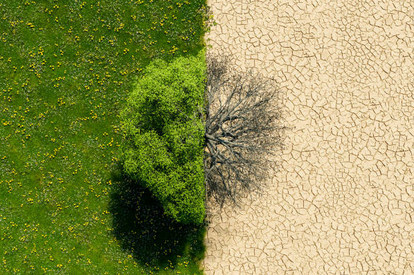 Klimabilanz