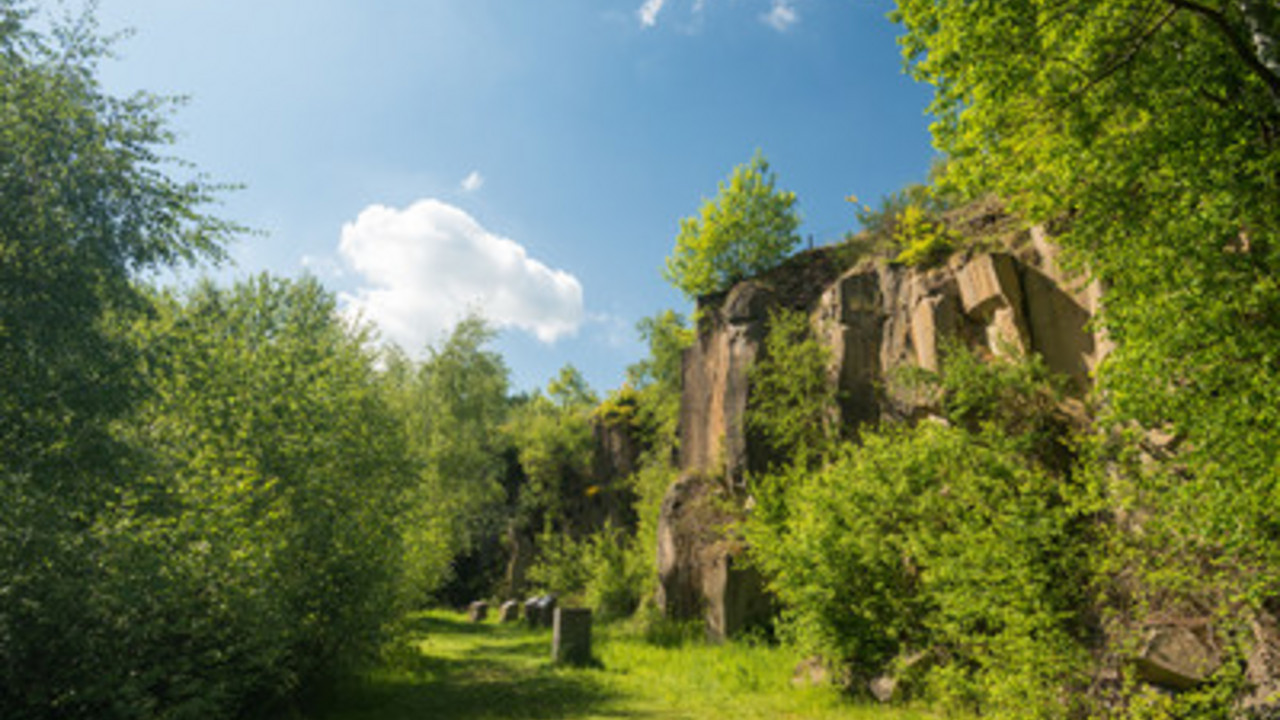 Felswand im Mayener Grubenfeld, einem ehemaligen Abbau-Gebiet für Basaltgestein; © D. Ketz/RPT