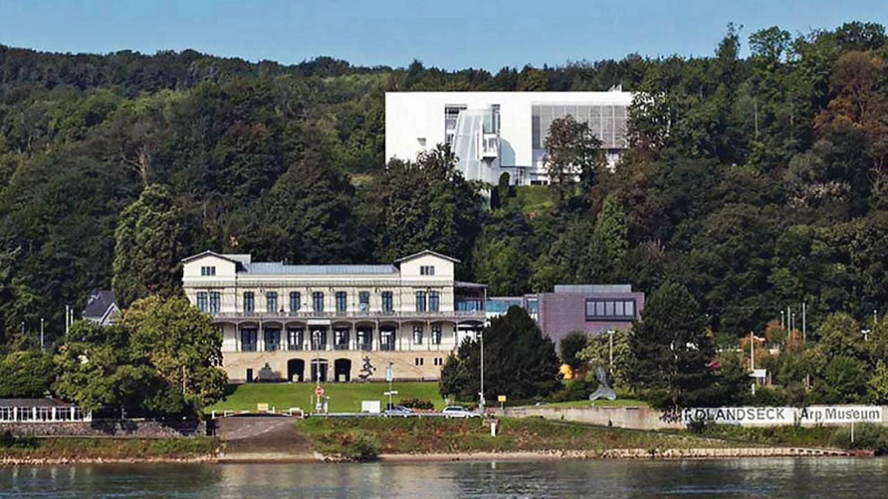 Arp Museum