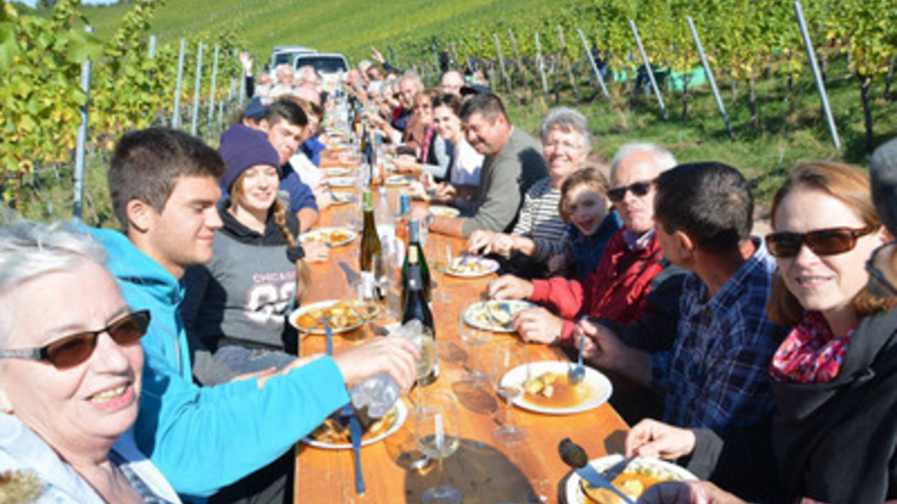 Lesehelferinnen und -helfer beim Vesper im Weinberg, (c) Weingut Schnaidtmann