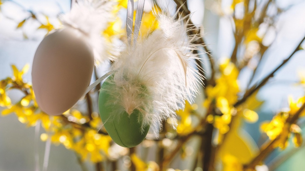 Ostereier am Strauch