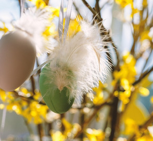 Ostereier am Strauch