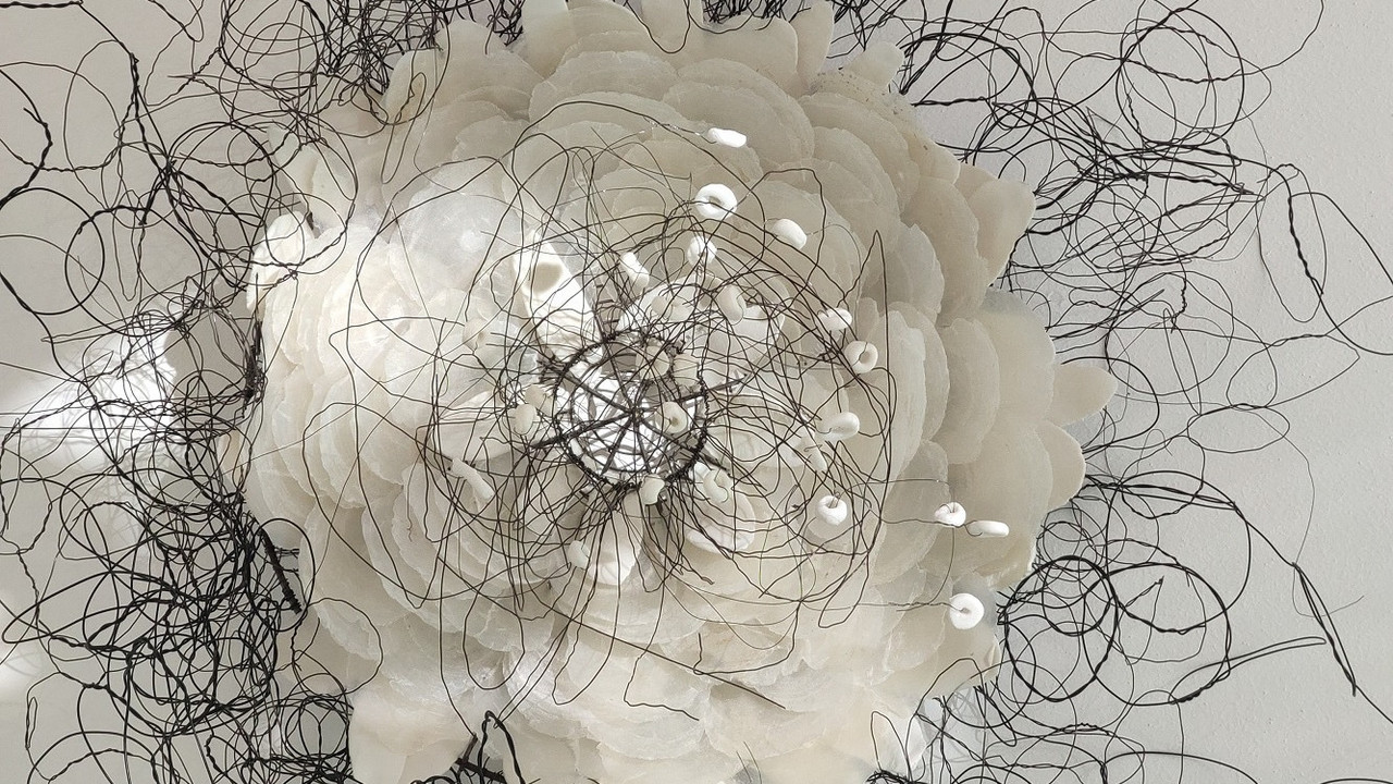 Werk von Caroline Laengerer