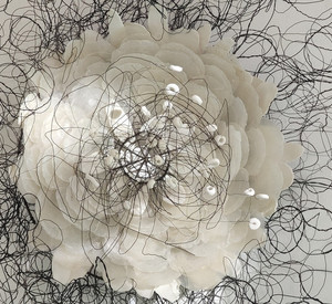 Werk von Caroline Laengerer