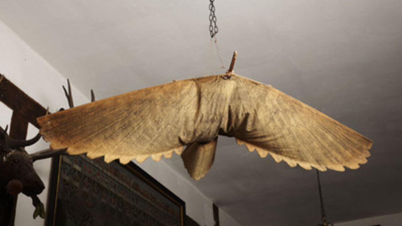 So zum Beispiel das "Exponat der Woche". Der einem Bussard nachempfundene Jagddrache kann im Schloss Bürresheim und nun auch online bestaunt werden. ; © GDKE Rheinland-Pfalz / Pfeuffer