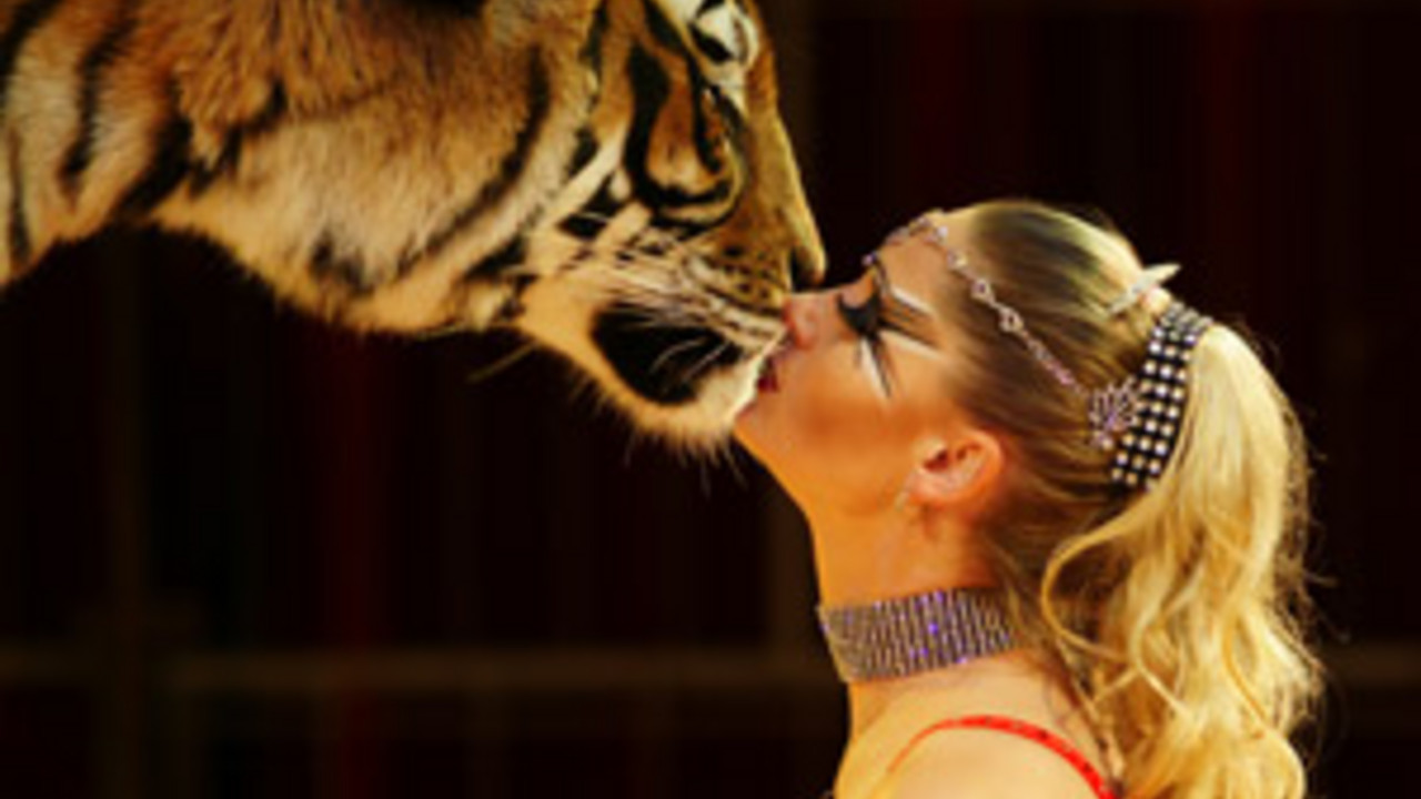 Circus Carl Busch