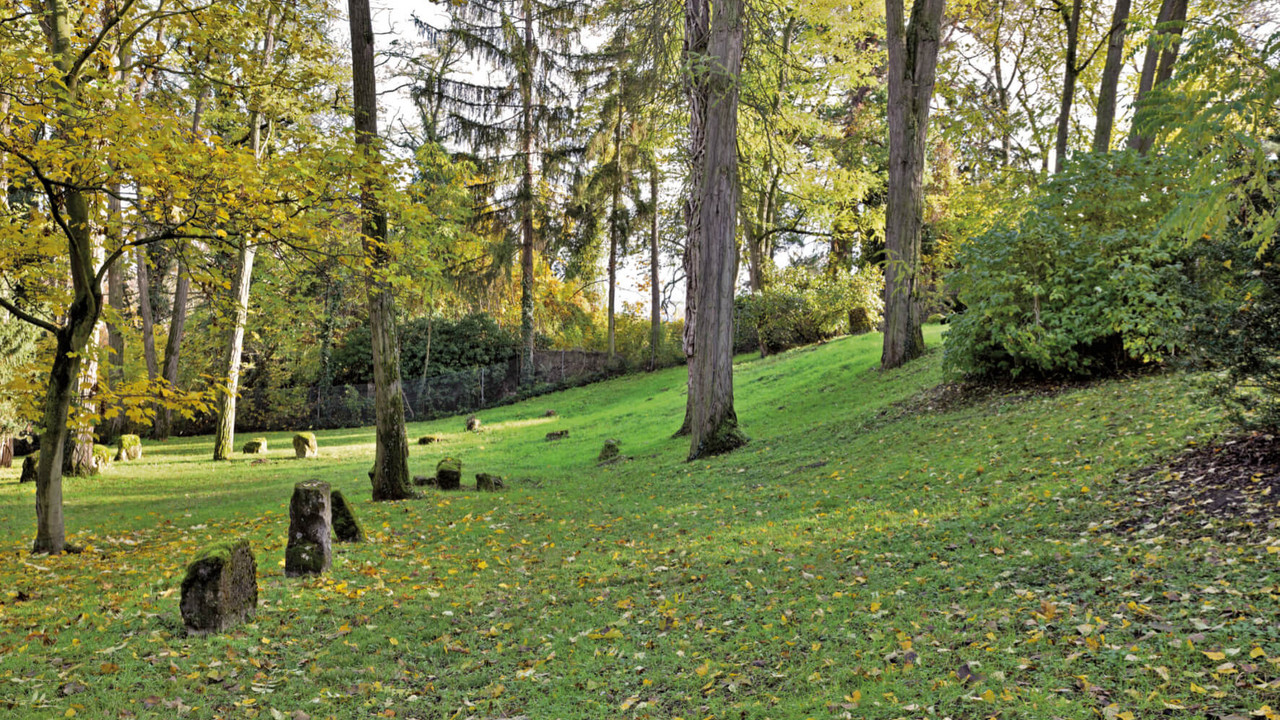 Bild:  Alter Jüdischer Friedhof Mainz © GDKE Rheinland-Pfalz (Foto: Jürgen Ernst)Generaldirektion Kulturelles Erbe 