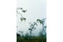 Axel Hütte, Cayo-1, Belize, 2008