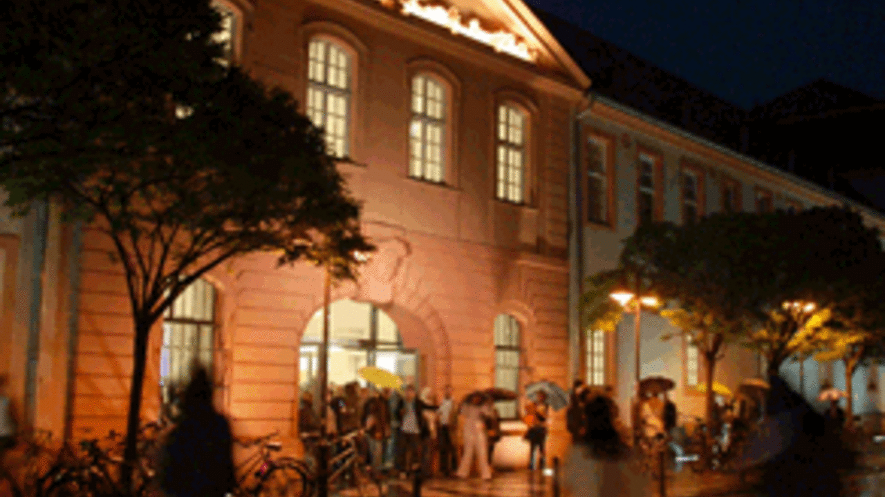 Mainzer Landesmuseum zur Museumsnacht